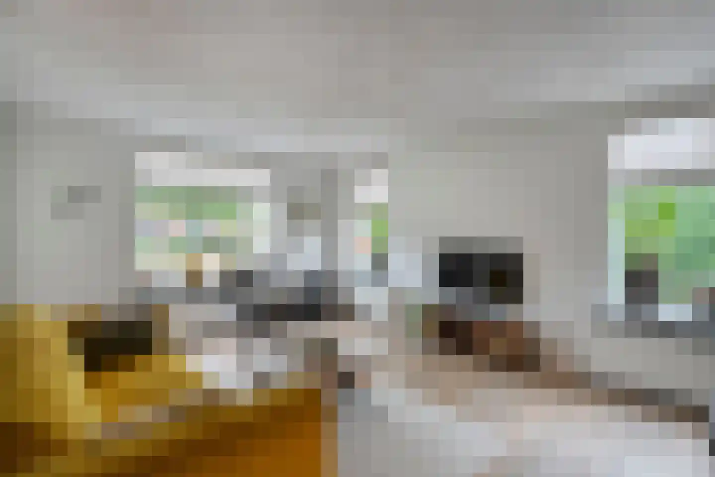 Eswal 1 Rolde thumbnail 4