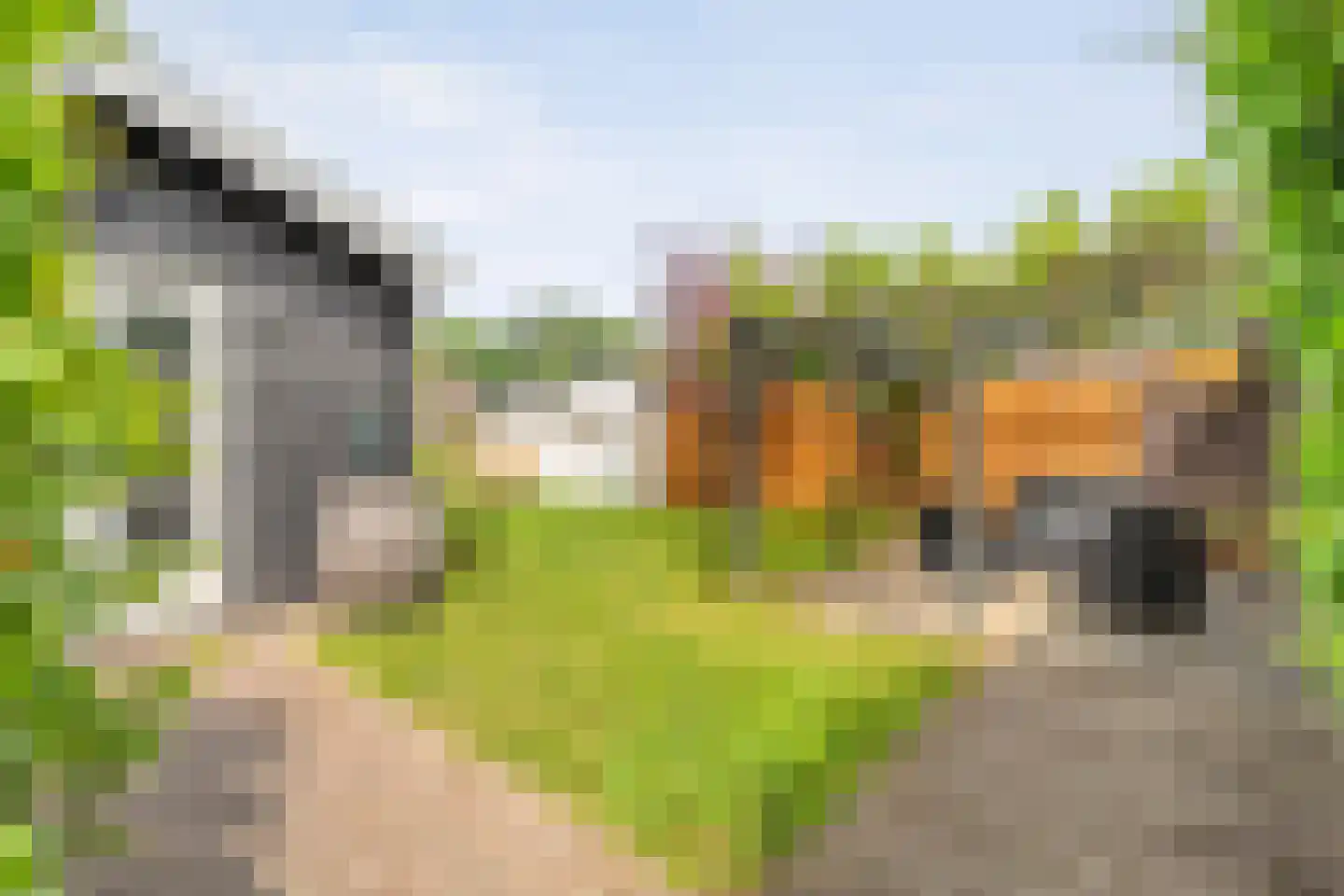 Eswal 1 Rolde thumbnail 41