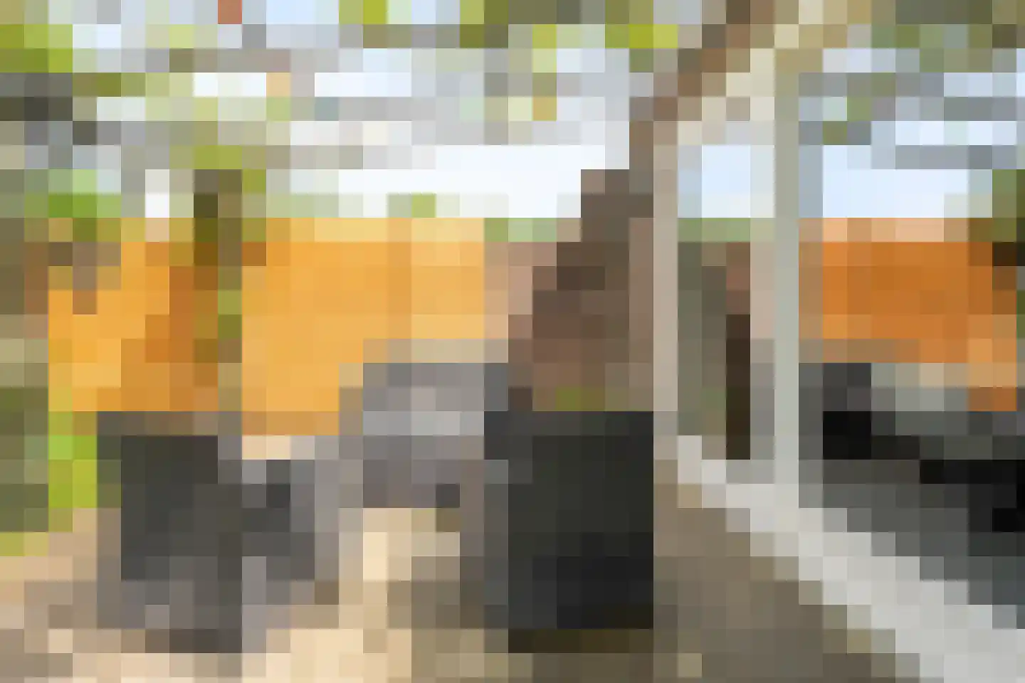 Eswal 1 Rolde thumbnail 42