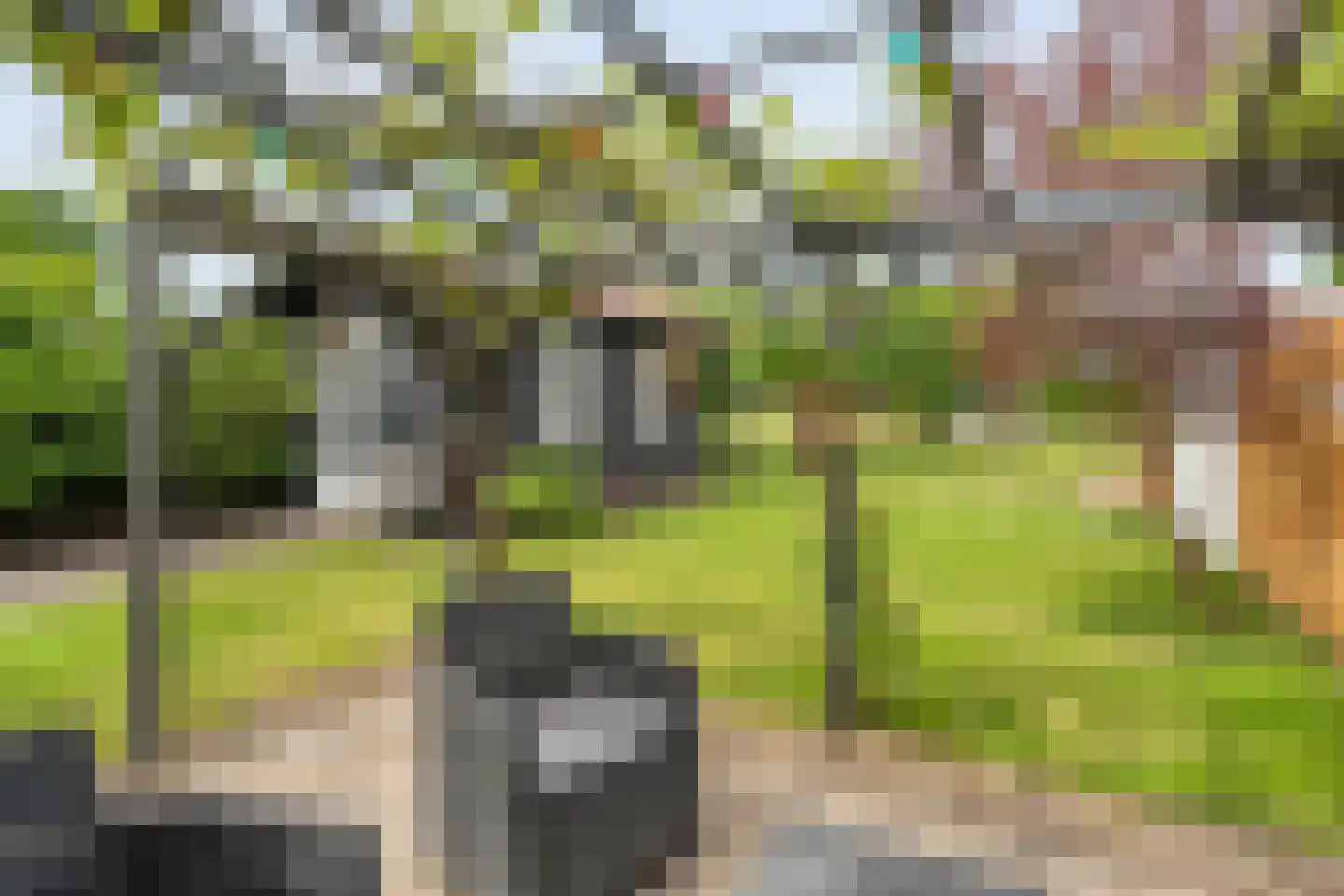 Eswal 1 Rolde thumbnail 43