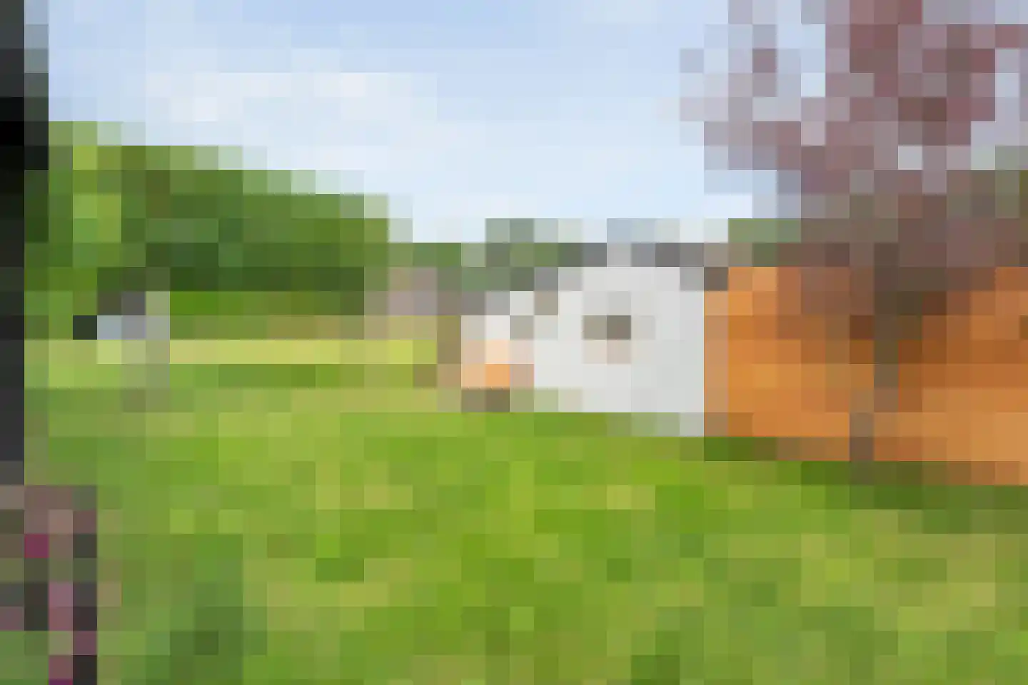 Eswal 1 Rolde thumbnail 45
