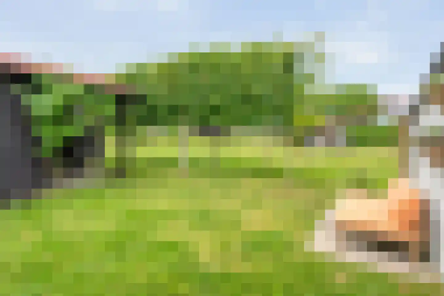 Eswal 1 Rolde thumbnail 46