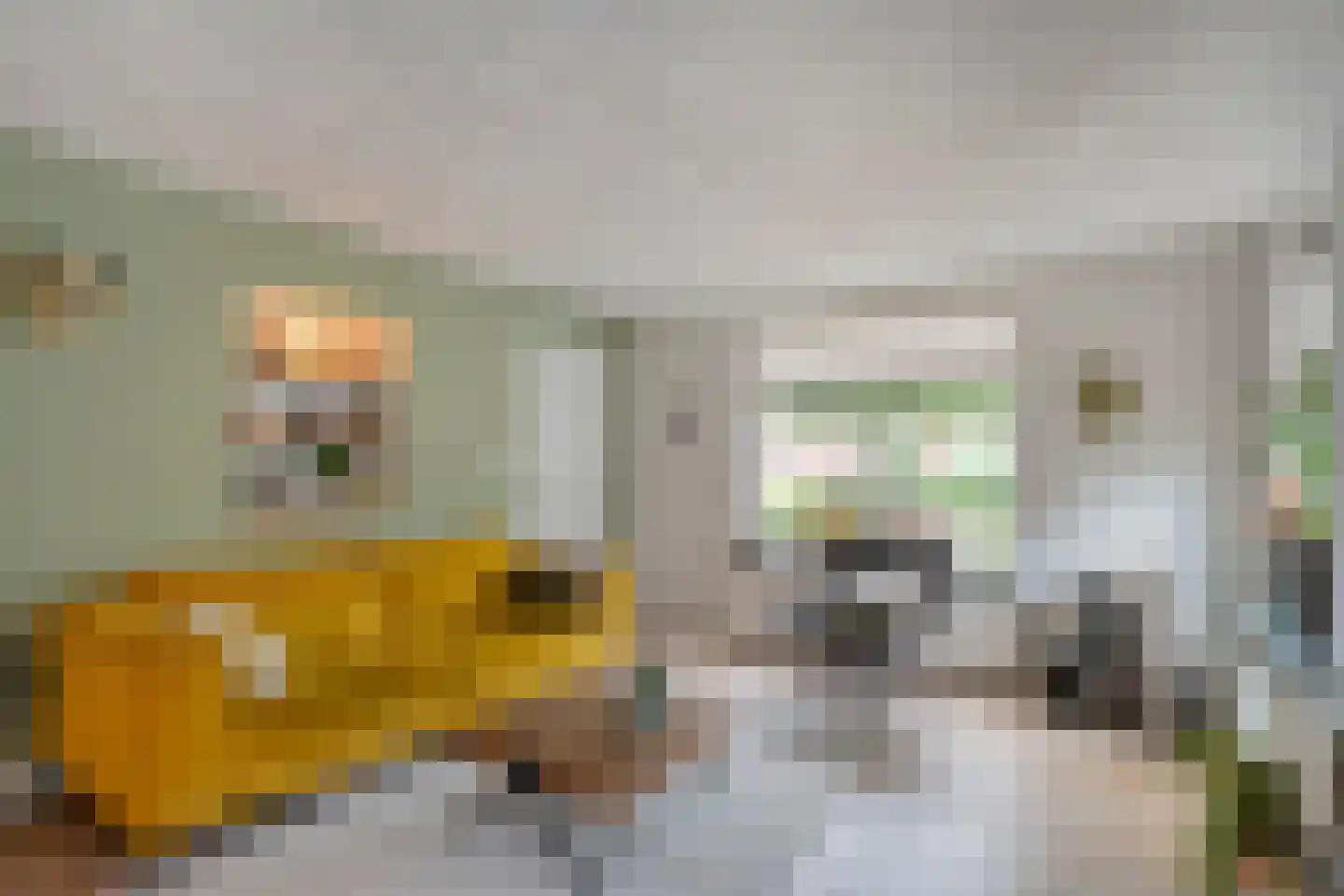 Eswal 1 Rolde thumbnail 5
