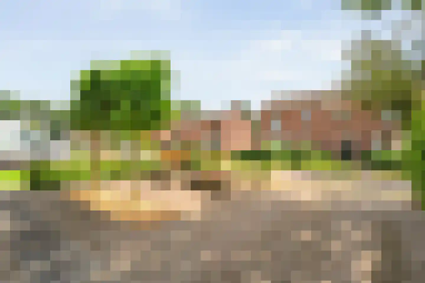 Eswal 1 Rolde thumbnail 50