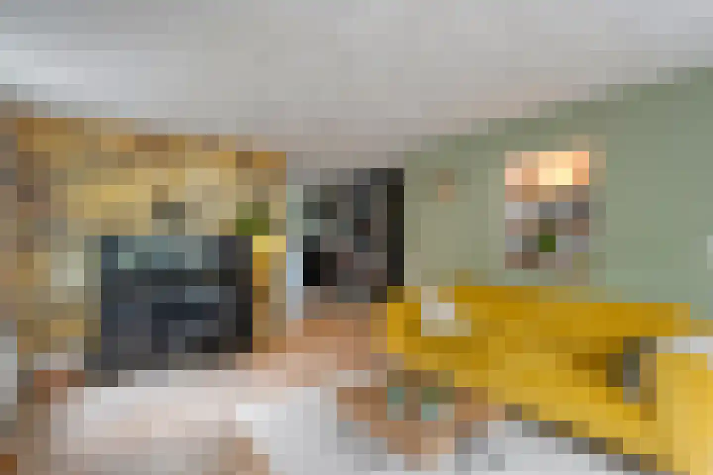Eswal 1 Rolde thumbnail 6