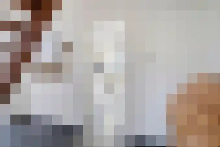 Eswal 47 Rolde thumbnail 19