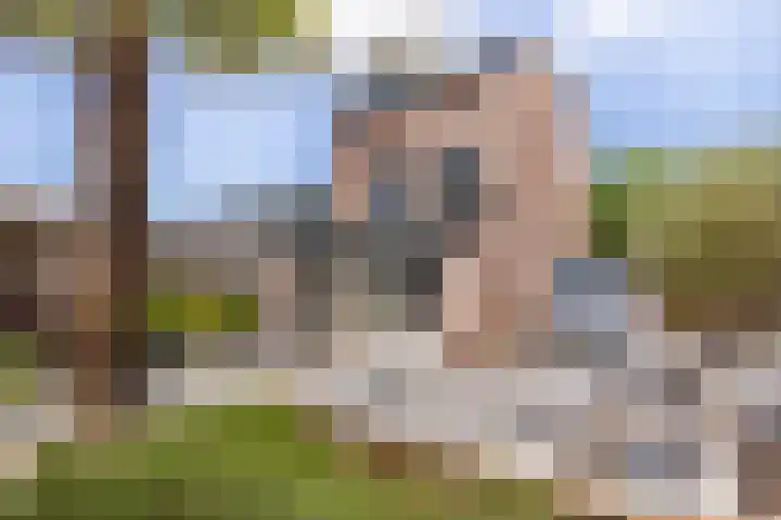 Eswal 47 Rolde foto 2