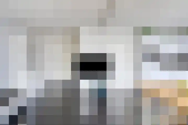 Eswal 47 Rolde thumbnail 27