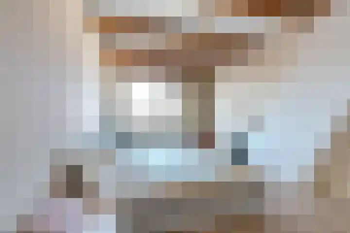 Eswal 47 Rolde foto 3