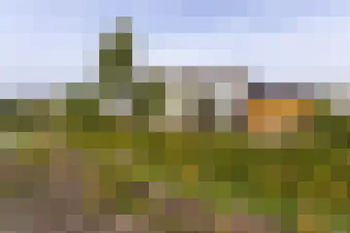 Eswal 47 Rolde thumbnail 30