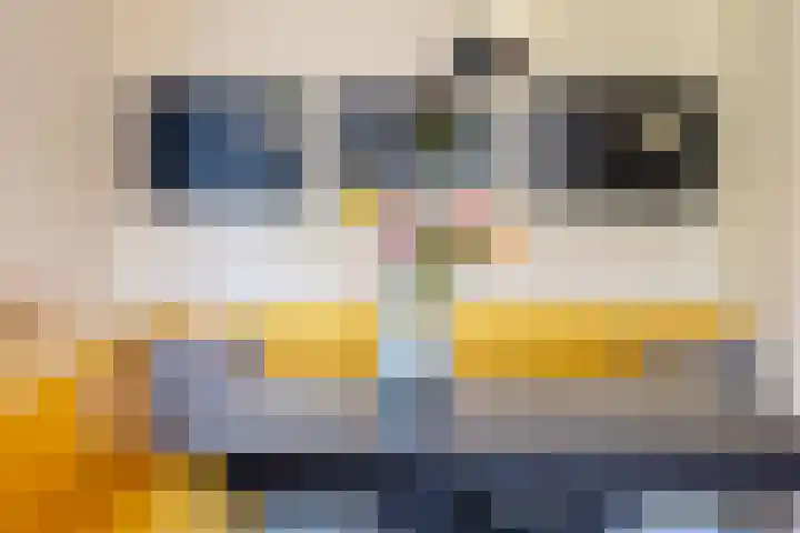 Esweg 1 A Zuidlaren thumbnail 16