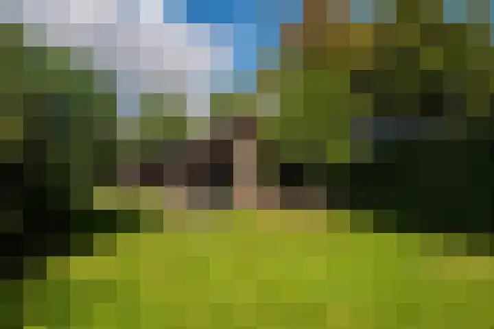Esweg 1 A Zuidlaren thumbnail 4