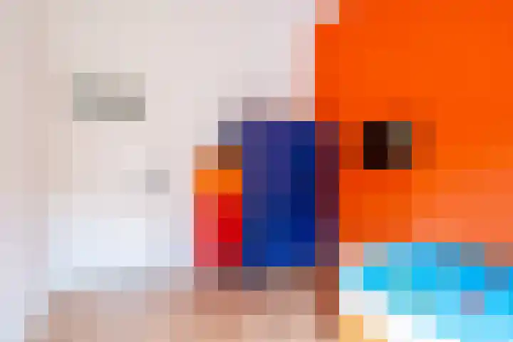 Esweg 1 A Zuidlaren thumbnail 47