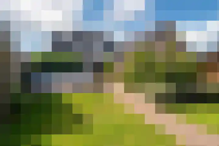 Esweg 1 A Zuidlaren thumbnail 55