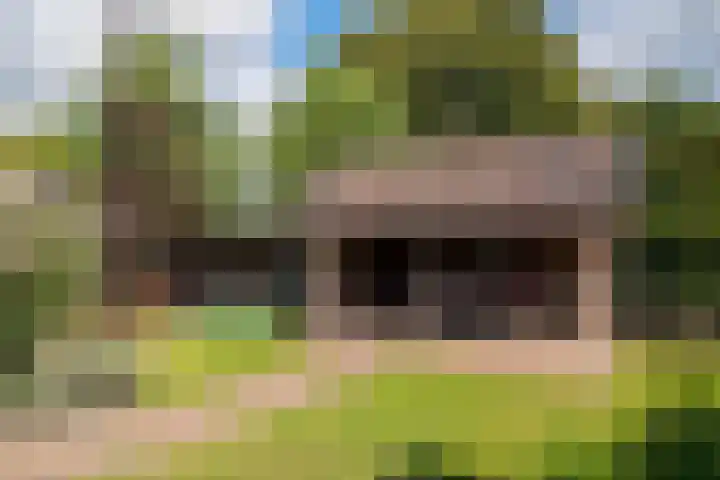 Esweg 1 A Zuidlaren thumbnail 59