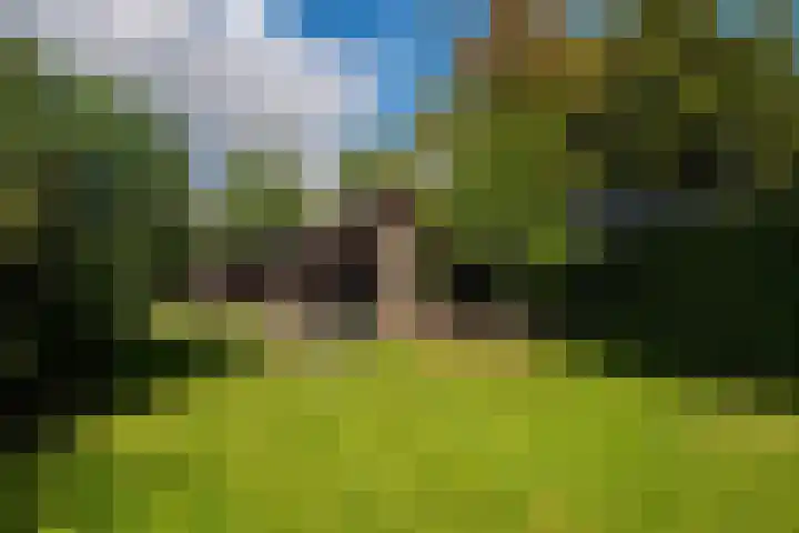 Esweg 1 A Zuidlaren thumbnail 62