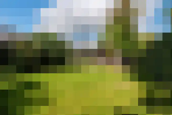 Esweg 1 A Zuidlaren thumbnail 63