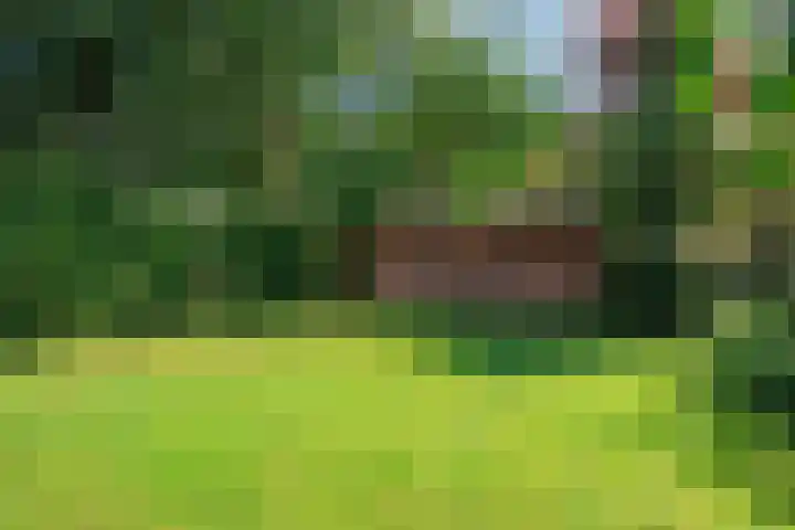 Esweg 1 A Zuidlaren thumbnail 64