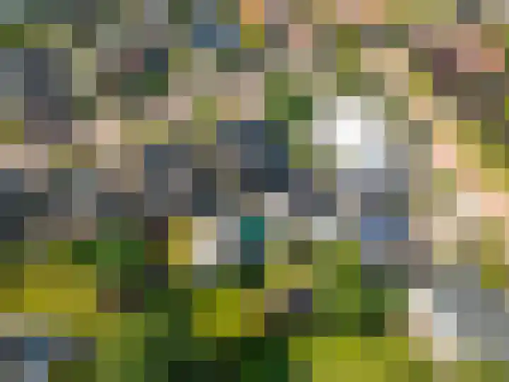 Esweg 1 A Zuidlaren thumbnail 67