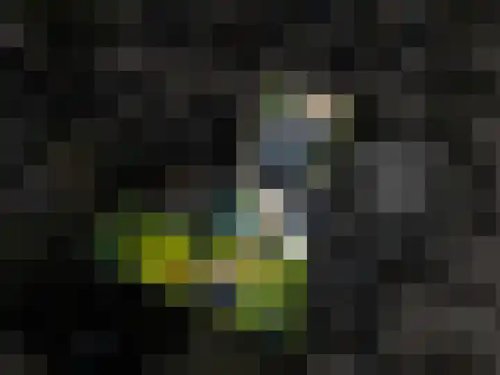Esweg 1 A Zuidlaren thumbnail 68