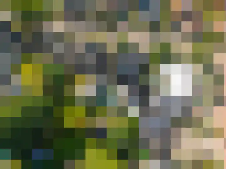 Esweg 1 A Zuidlaren thumbnail 69