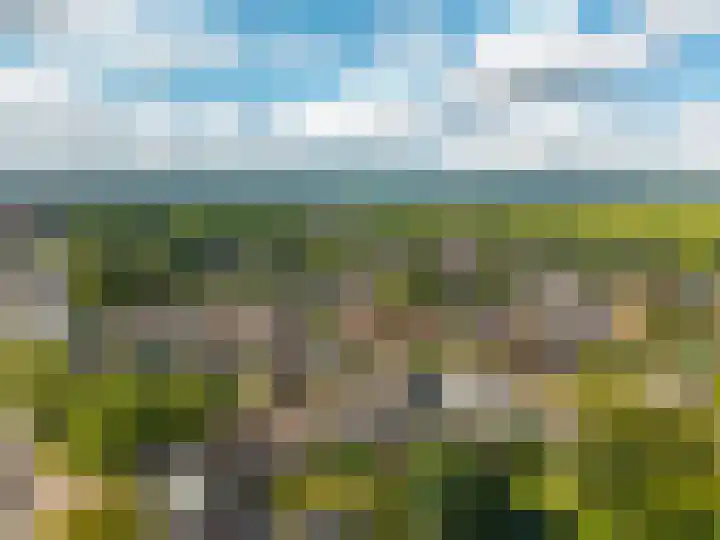 Esweg 1 A Zuidlaren thumbnail 71