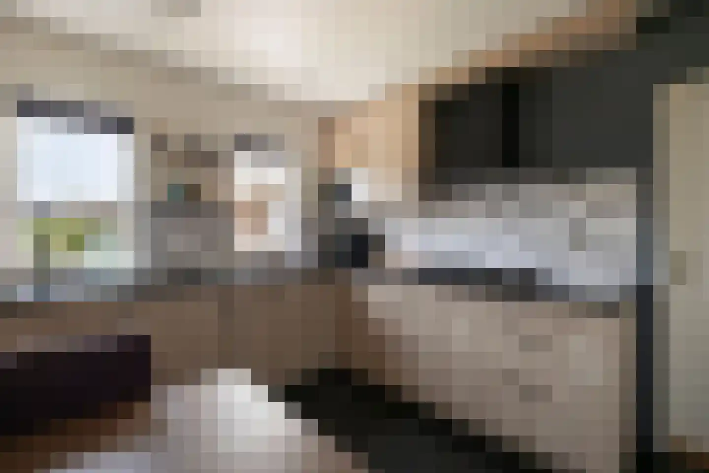 Esweg 1 Dwingeloo thumbnail 10
