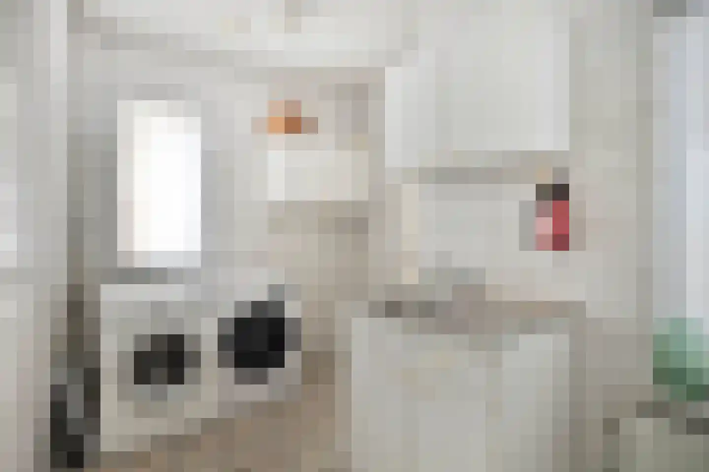 Esweg 1 Dwingeloo thumbnail 13