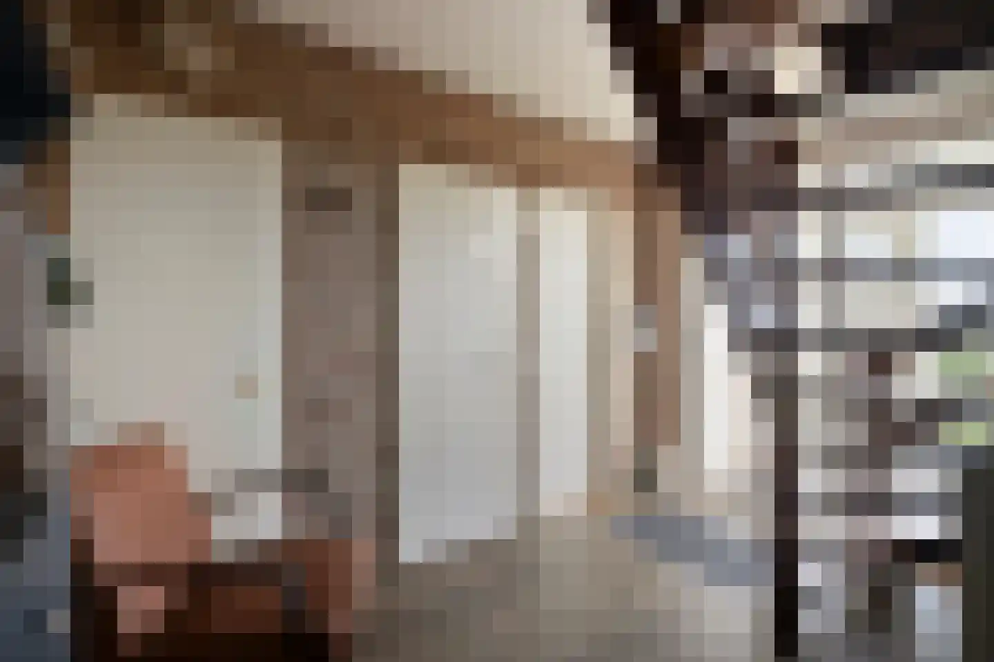 Esweg 1 Dwingeloo thumbnail 14