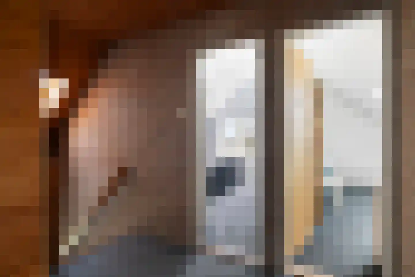 Esweg 1 Dwingeloo thumbnail 16
