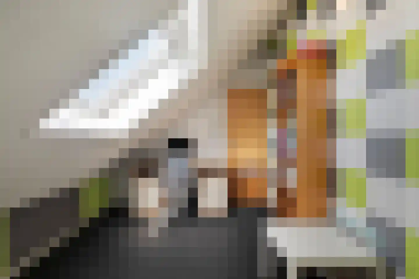 Esweg 1 Dwingeloo thumbnail 20