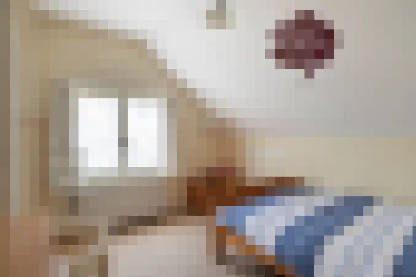 Esweg 1 Dwingeloo thumbnail 21