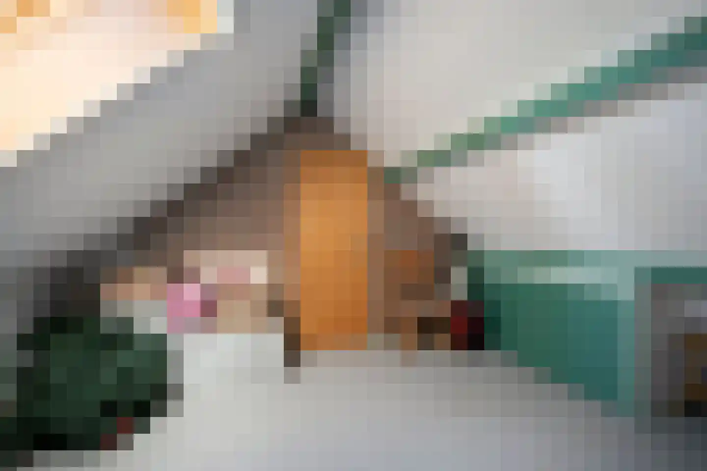 Esweg 1 Dwingeloo thumbnail 31