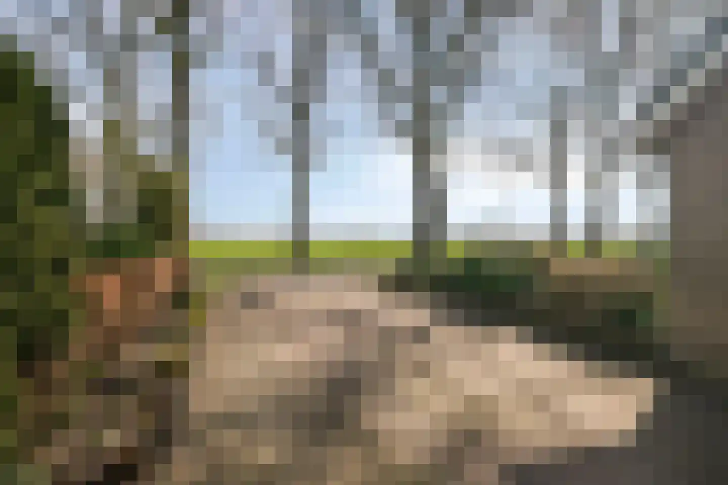 Esweg 1 Dwingeloo thumbnail 46