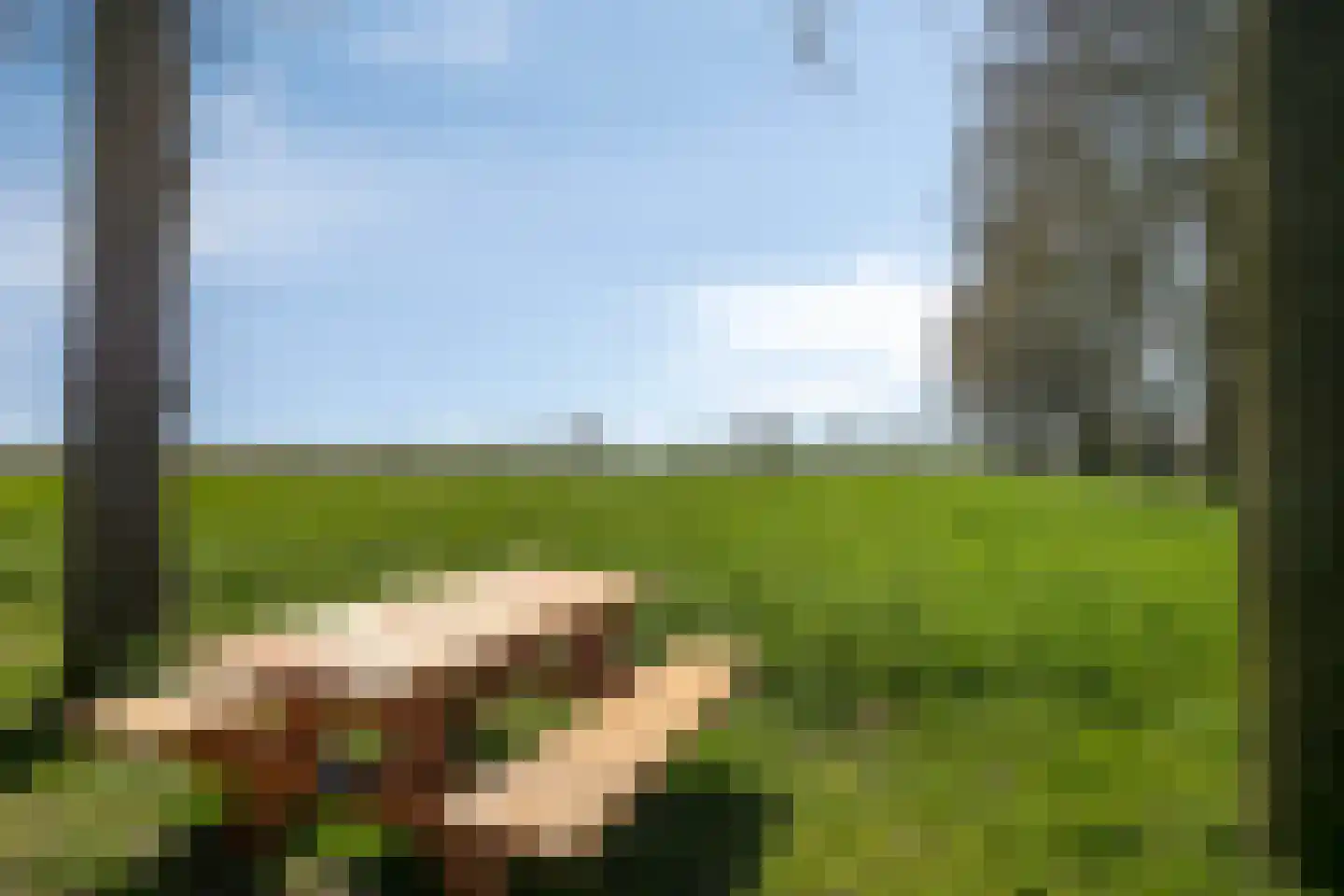 Esweg 1 Dwingeloo thumbnail 48