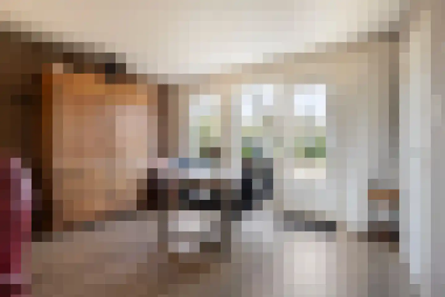 Esweg 1 Dwingeloo thumbnail 7