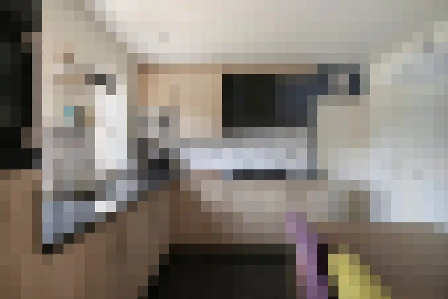 Esweg 1 Dwingeloo thumbnail 8