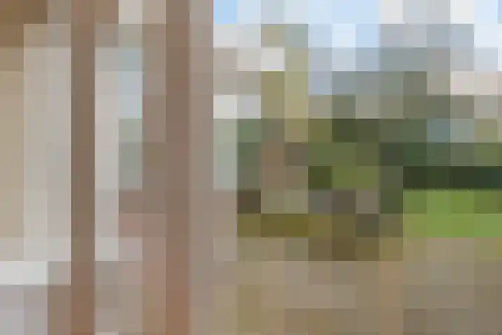 Esweg 1 Eelde thumbnail 15