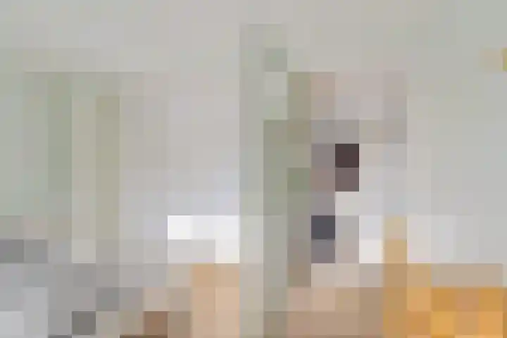 Esweg 1 Eelde thumbnail 31