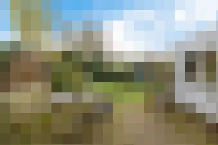 Esweg 1 Eelde thumbnail 32