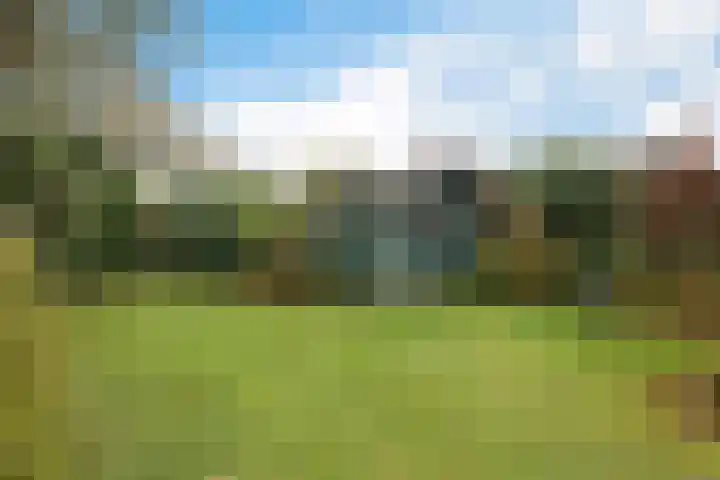 Esweg 1 Eelde thumbnail 33