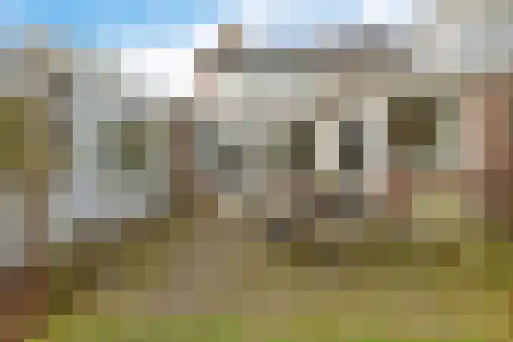 Esweg 1 Eelde thumbnail 35