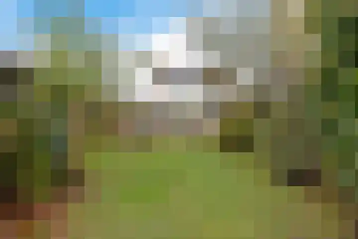 Esweg 1 Eelde thumbnail 36
