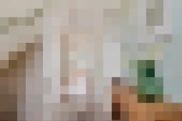 Esweg 1 Eelde thumbnail 6