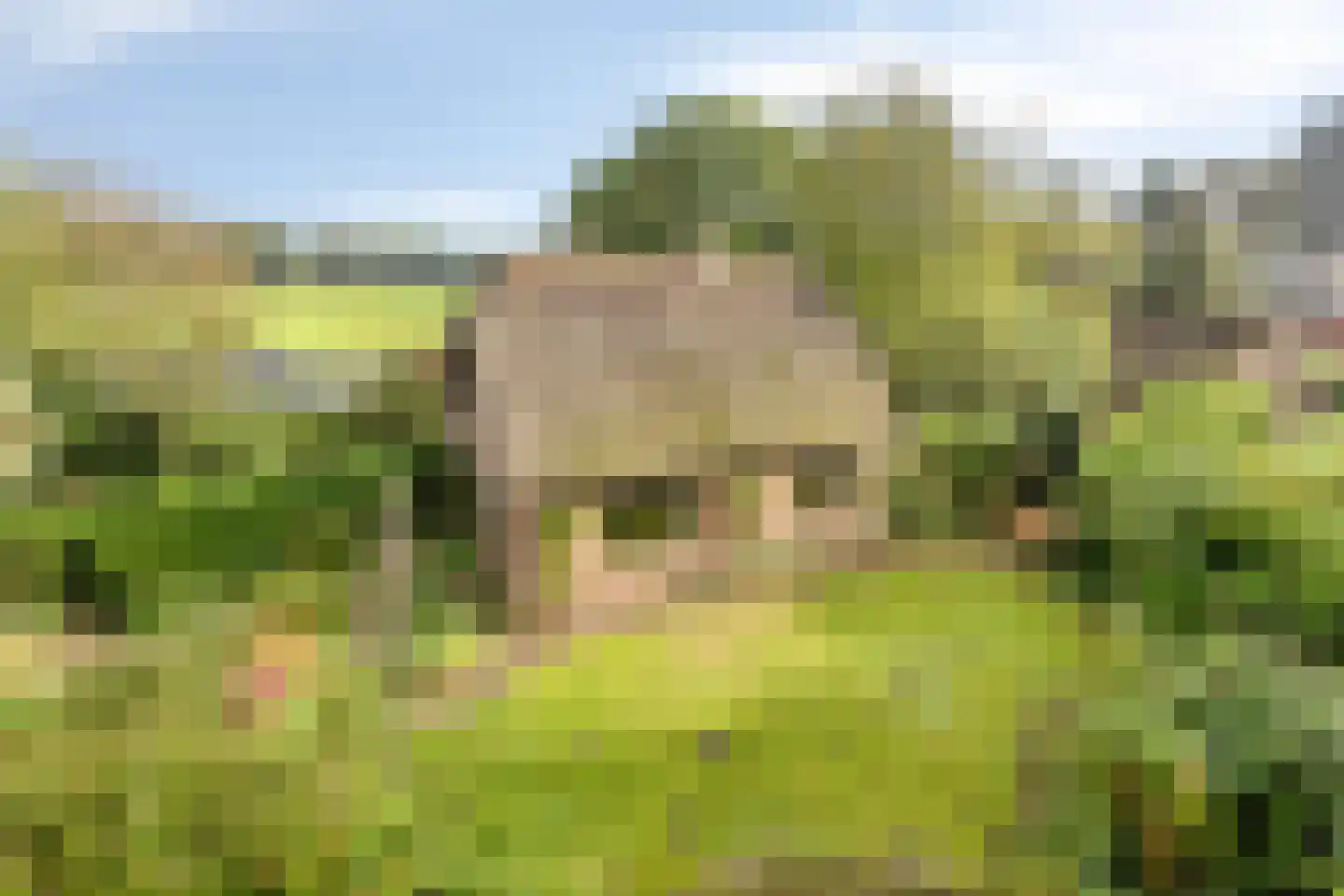 Esweg 1 Schipborg foto 2