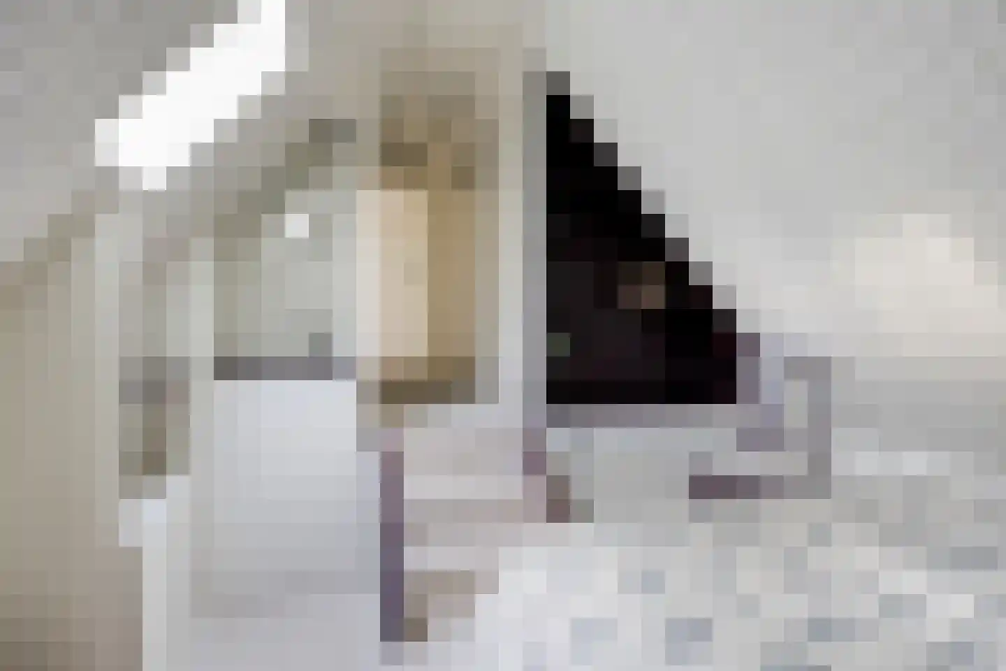 Esweg 1 Schipborg thumbnail 36