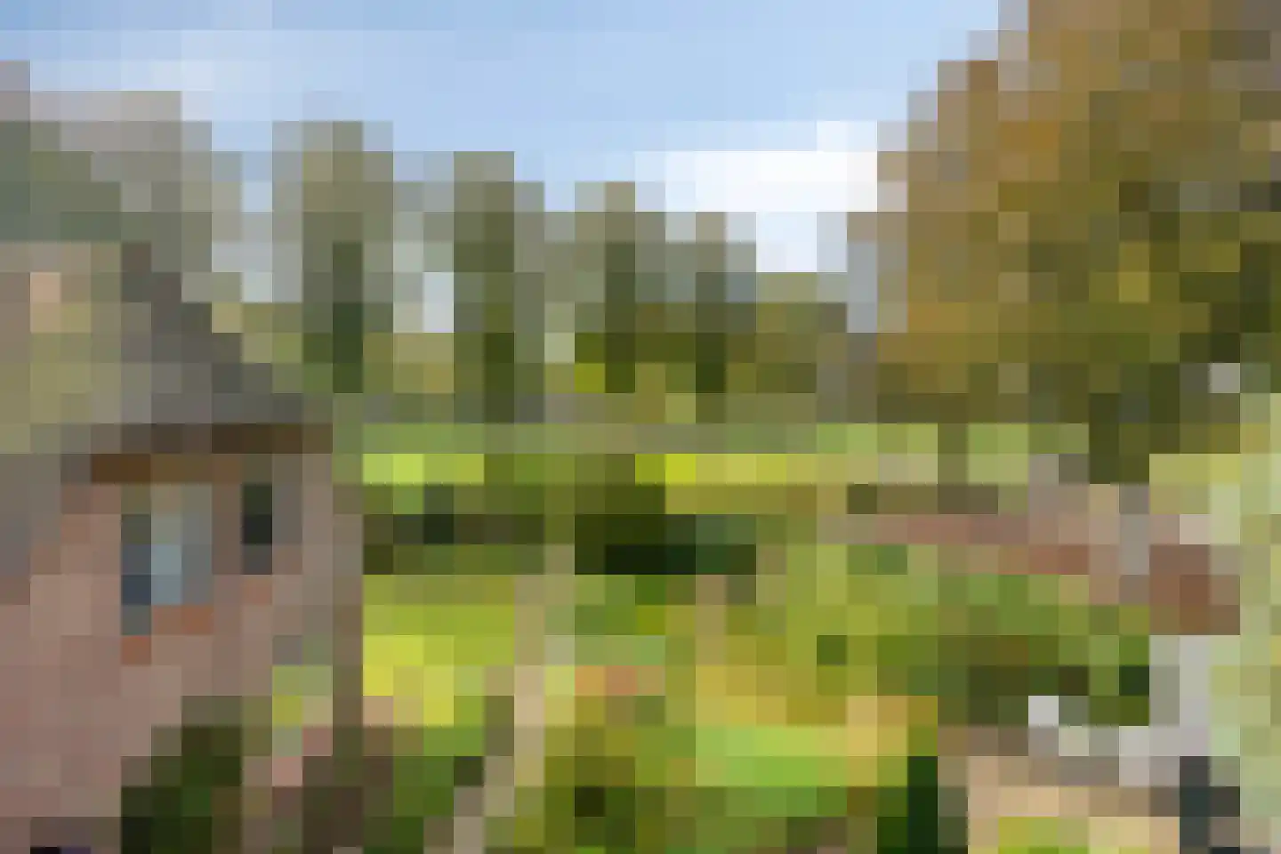 Esweg 1 Schipborg thumbnail 37