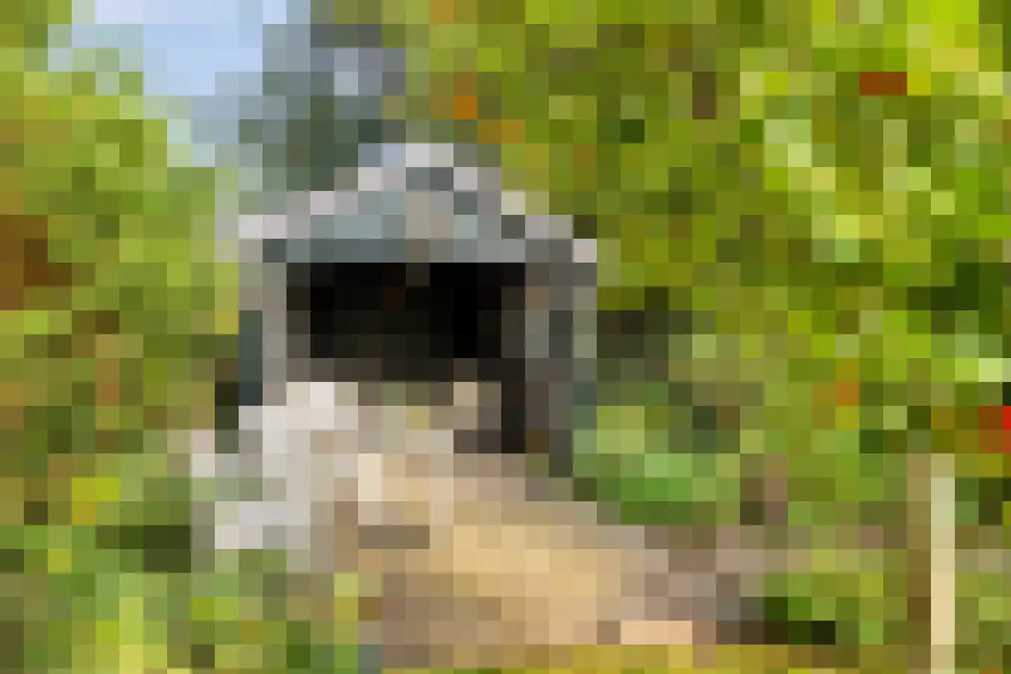 Esweg 1 Schipborg thumbnail 38