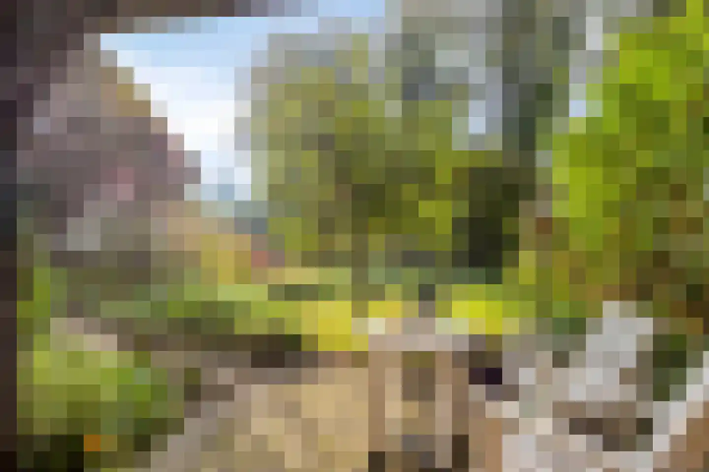 Esweg 1 Schipborg thumbnail 39