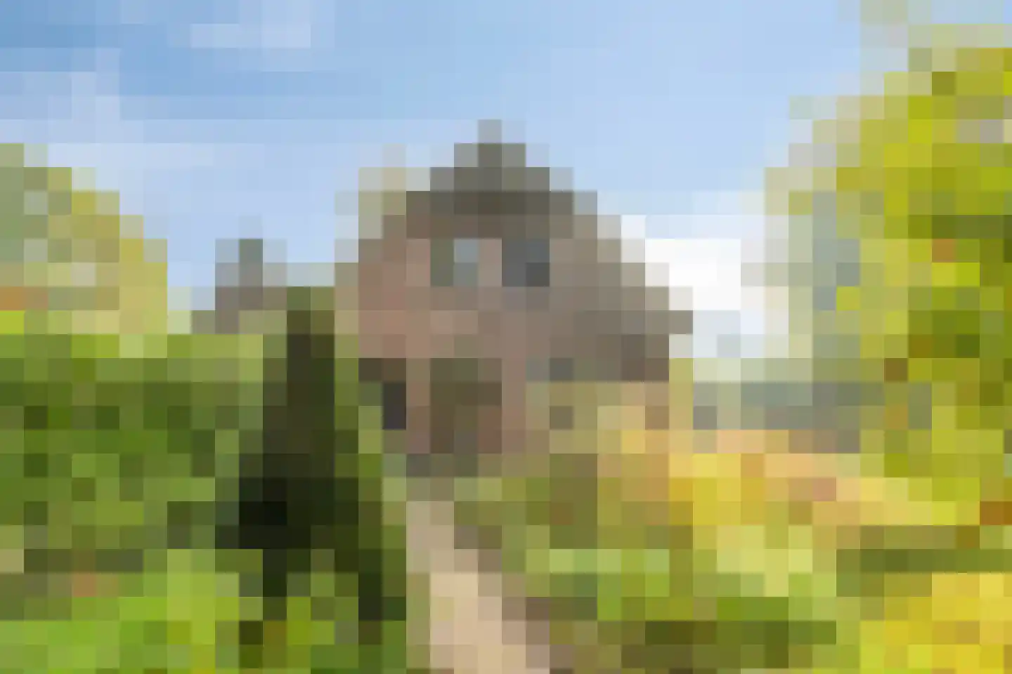 Esweg 1 Schipborg thumbnail 40
